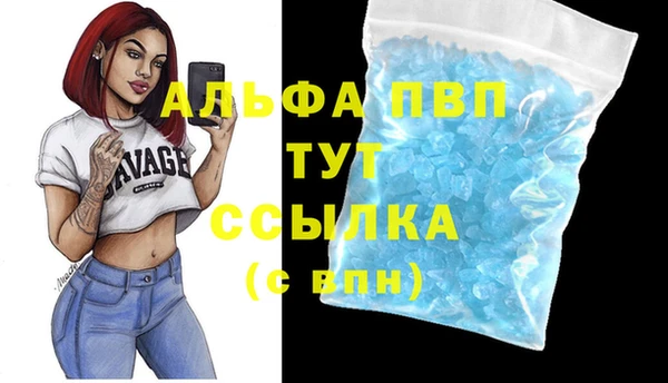 ECSTASY Новозыбков