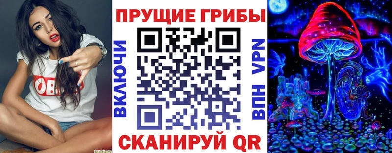 Псилоцибиновые грибы Psilocybine cubensis  наркотики  Луза 